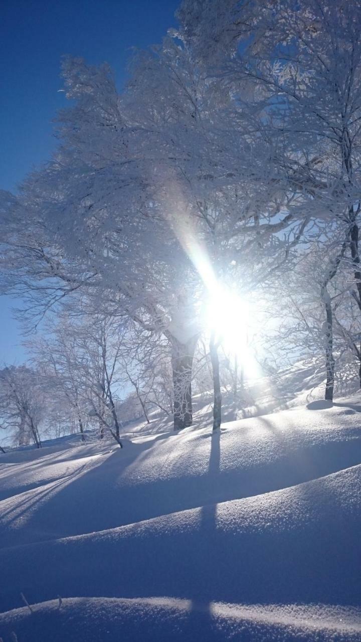 Nozawa Dream Central Kültér fotó