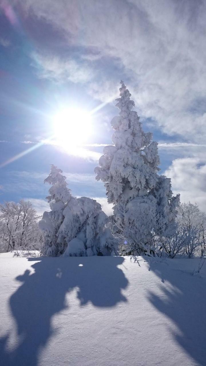 Nozawa Dream Central Kültér fotó