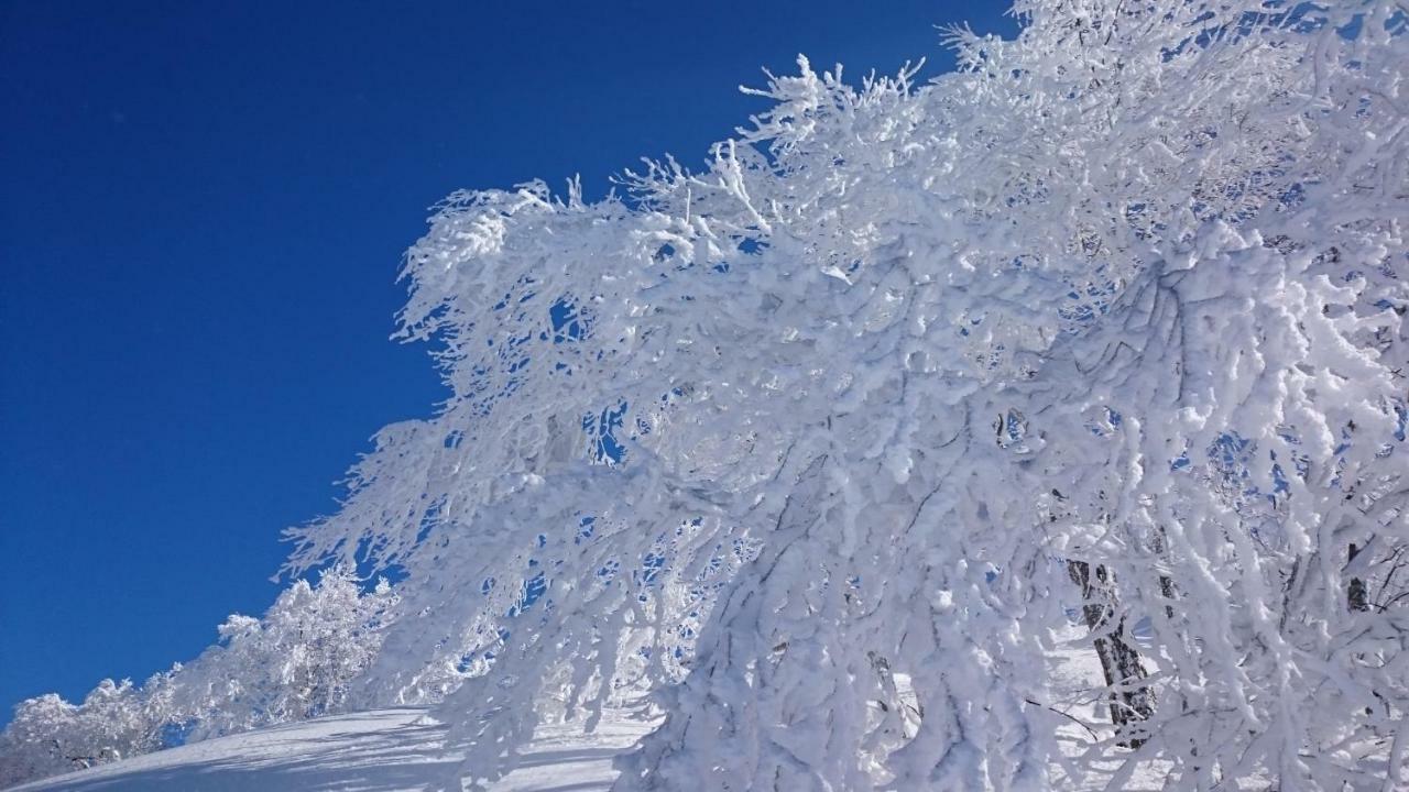Nozawa Dream Central Kültér fotó